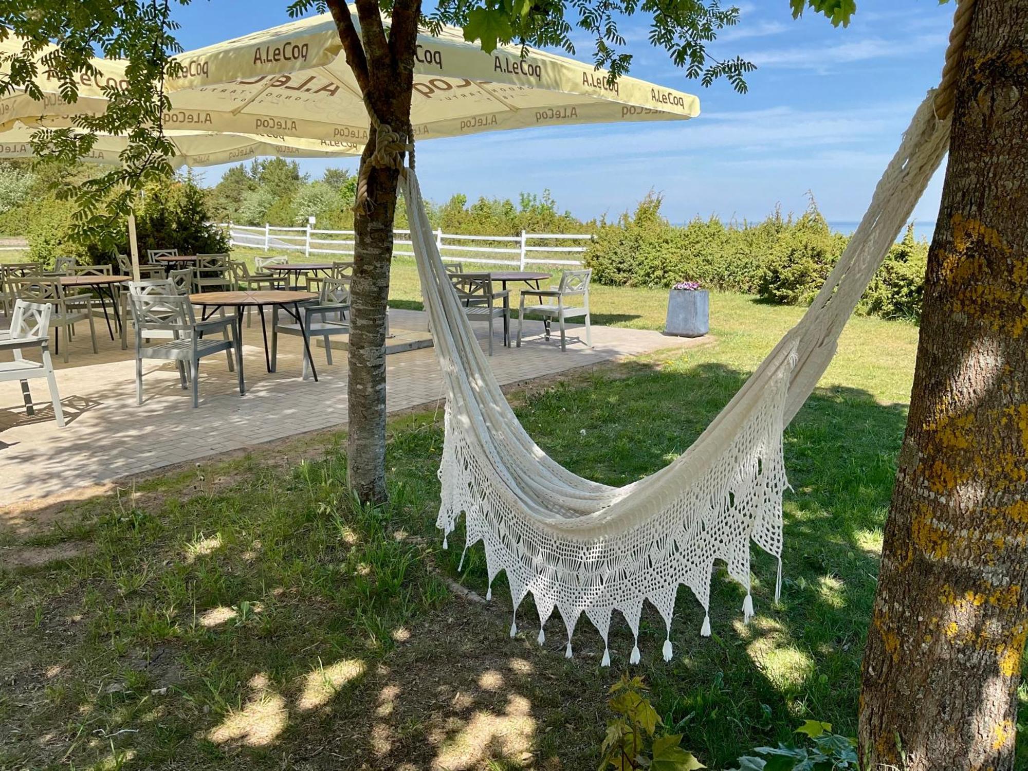 Hotel Kliff Butiik Majutus & Restoran Panga Zewnętrze zdjęcie